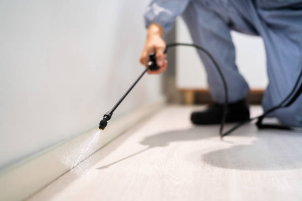 Professional exterminator conducting IPM assessment in Fox Crossing