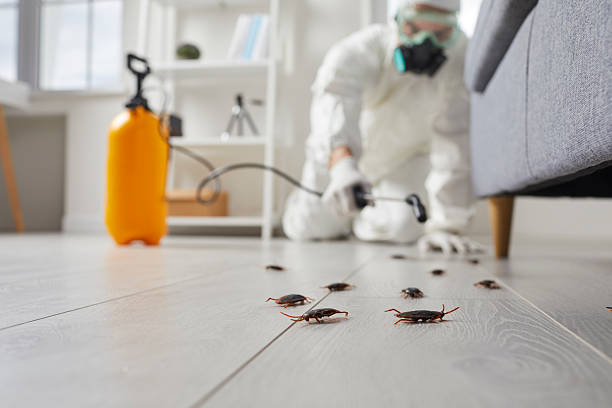 Post-Treatment Bed Bug Interceptor Monitoring in Fox Crossing