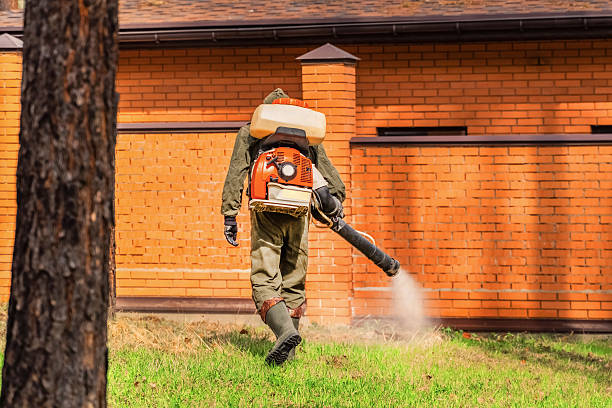 Bed Bug Clearance Verification and Documentation in Fox Crossing